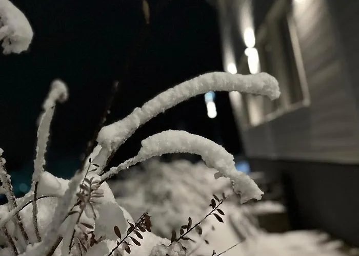 Lieblingsquartier - Penthouse 13 Daire Sankt Andreasberg